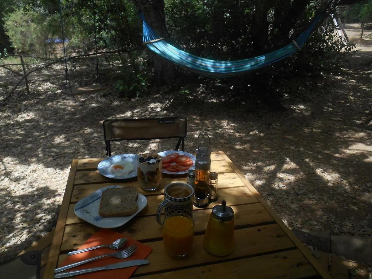 La Cabana Del Alcornoque Cordoba 0*,