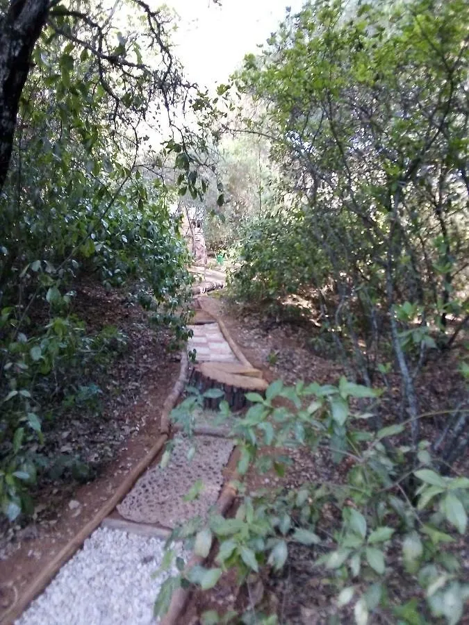 La Cabaña del Alcornoque Córdoba